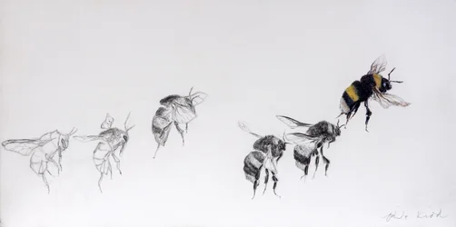 Lentokuvio, 2014 (lyijykynä, akryyli gessoiduille puupinnoille)