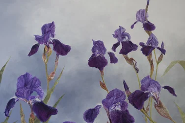 Iris hybrida (detalji), 2015 (akryyli gessoiduille puupinnoille)