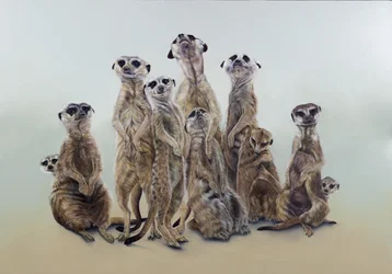Meerkat mob, aurinkoenkelit, 2013 (akryyli gessoiduille puupinnoille)