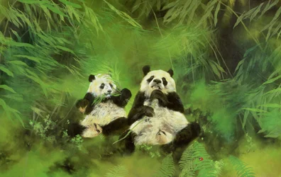 Pandat