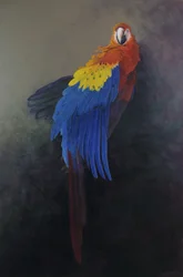 Tulipunainen papukaija 3, 2014 (akryyli pellavalle)