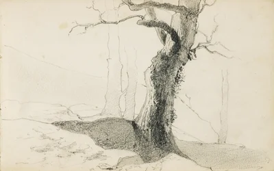 Piirustus albumista nimeltä "The Baskimaa", 1862-63