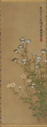 Siniset ja valkoiset kukat hoikkavarsissa, Edo-kausi, 1700-1800-luku