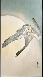 Ankan lento kuunvalossa Ohara Kosonin (1877-1945) ksylografia ja japanilainen printti 1908 Yksityinen kokoelma DR