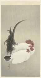 kukko ja kana