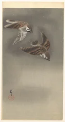 Sormus varpuset lumessa