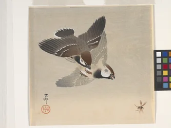 Sparrows Chasing Flying Insect (värillinen puupalikkaprintti)