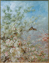 saattaa