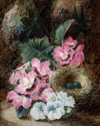 Asetelma, jossa on linnunpesä ja orvokkeja. Oliver Claren (noin 1853-1927) maalaus Yksityiskokoelma.