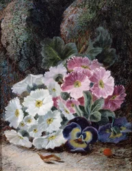 Asetelma primroosista ja ajatuksista. Oliver Claren (noin 1853-1927) maalaus Yksityiskokoelma.