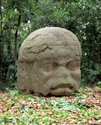 Colossal Head 26, esiklassinen kausi