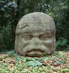 Colossal Head 4, esiklassinen kausi