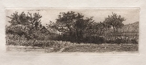 Katot ja puut, 1879.