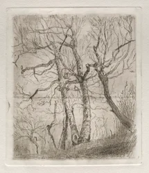Puut, 1878.