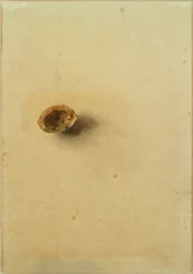 Nussscale