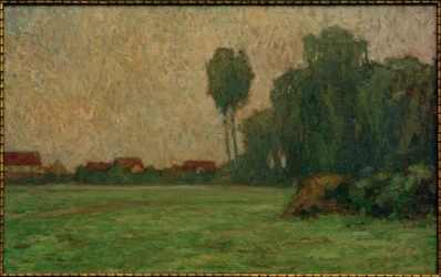 Nebel auf der Wiese