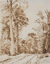 Metsätie. Iselinge