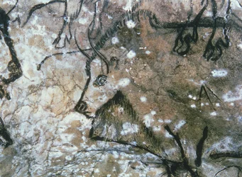 Loukkaantunut härkä, kalliomaalaus, Magdalenian (luolamaalaus)