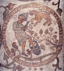 Elokuu: Fryygialainen talonpoika poimii rypäleet ja murskaa ne ämpäriin. Leijonan merkki on edustava. Pantaleonen mosaiikki, pappi ja mosaiikki. 1163-1166. Otranton katedraalin keskuslaivo (Otranto), Italia