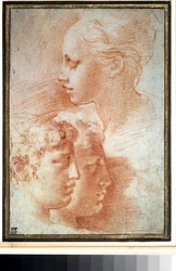 "Etude de tetes" (tutkimus päistä). Nuoren tytön ja poikien kasvoprofiili. Piirustus Girolamo Francesco Maria Mazzola tai Mazzuoli dit il Parmigianino (Parmesan