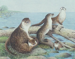 Leikkiaika (akryyli kalikolle)