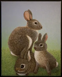 Rabbit Family, 2016