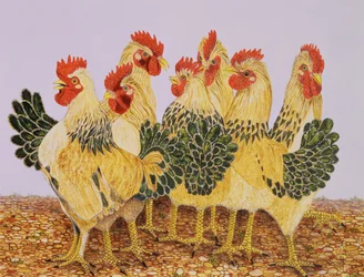Strutters baletti