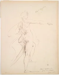 Apollon tutkimus Marsyasille (recto); Kasvot profiilissa (käänteinen)