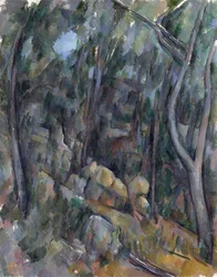 In the Grounds of Chateau Noir - Cezanne, Paul (1839-1906) The Grounds of the Chateau Noir Öljy kankaalle um 1900-1904 National Gallery, Lontoo 90,7x71,4