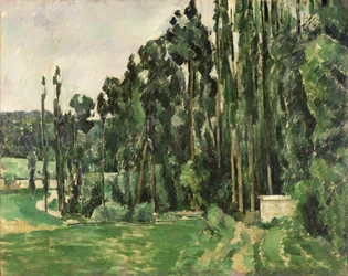 Poplars, n. 1879-82 (öljy kankaalle)