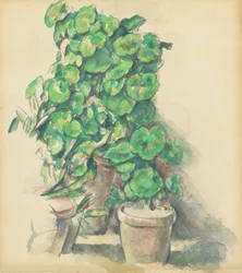 Geraniums, 18881890.