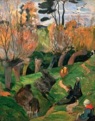 Les Saules
