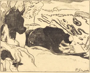 Pesijanaiset
