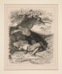 Siesta