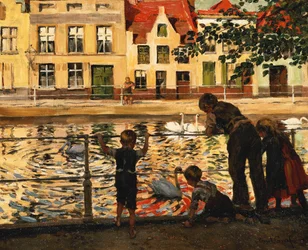 Joutsenia ruokkimassa,