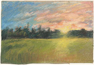 Niitty auringonlaskun aikaan