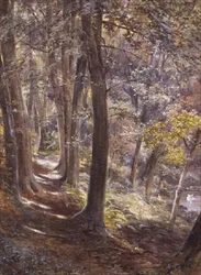 Metsämaiseman metsä