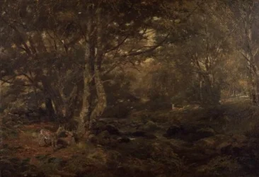 Metsän läpi, Pont-y-Gytyn, Pohjois-Wales