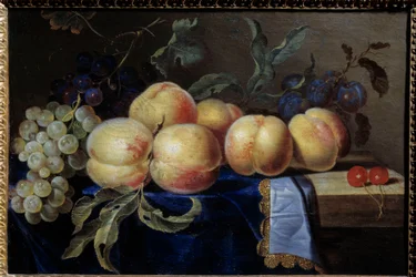 Asetelma, Peches. Paul Liegeoisin maalaus (1600-luku) Sun. 0,31x0,47 m Rouen, musee des Beaux Arts