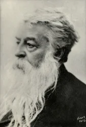 Ernest Messonnierin muotokuva (kuva)