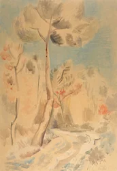 Pine (kynä ja akvarelli paperille)