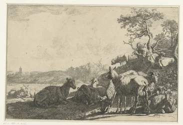 Paimen