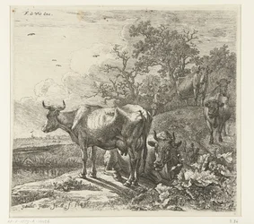 Paimen