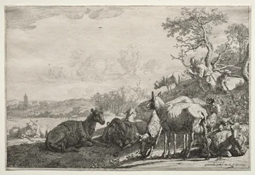 Paimen