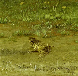 Rupikonna, yksityiskohta maanmiehestä laumansa kanssa, 1648 (katso 242089)