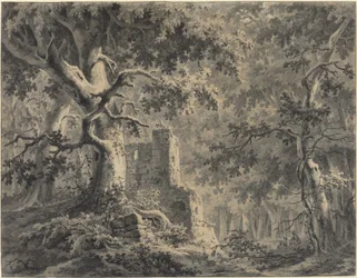 Woodland Streamin rauniot