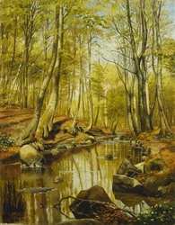 Metsäinen jokimaisema