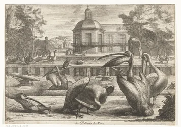 pelikaanit des Pelicans de Mere (otsikko esineessä) Birds from the Menagerie of Versailles (sarjan nimi)