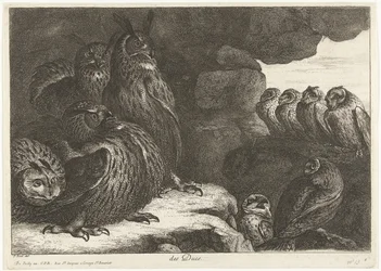 Pöllöt luolassa des Ducs (otsikko esineessä) Birds from the Menagerie of Versailles (sarjan nimi)