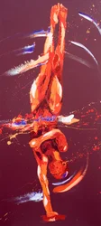Gymnast Six, 2011 (öljy kankaalle)